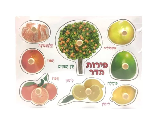 פאזל עץ - פירות הדר