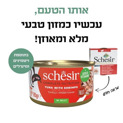 שימור טונה עם חסילונים בג'לי 140 גרם לחתולים בוגרים