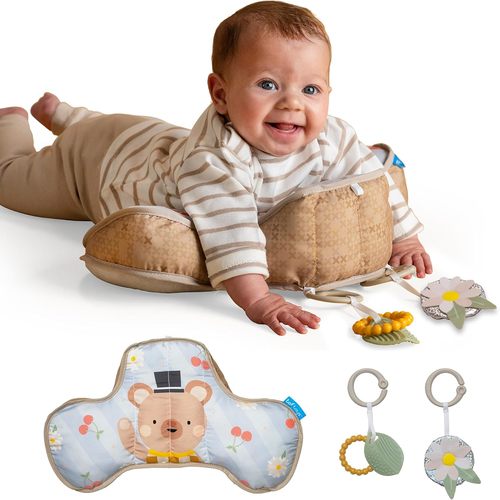 כרית התפתחותית דוב מבית Taf Toys