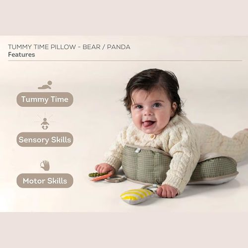 כרית התפתחותית דוב מבית Taf Toys