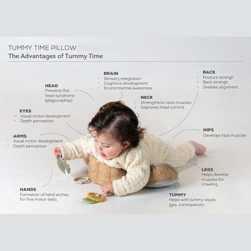 כרית התפתחותית דוב מבית Taf Toys