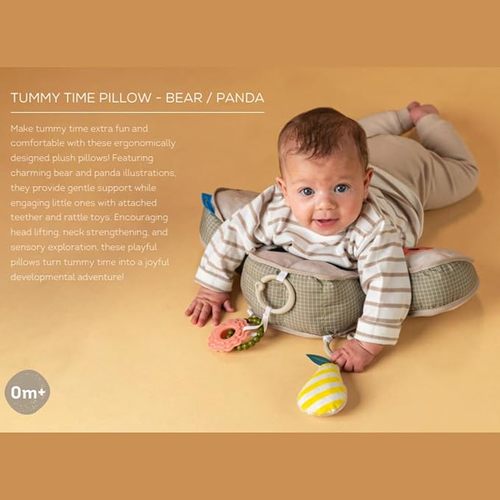כרית התפתחותית דוב מבית Taf Toys