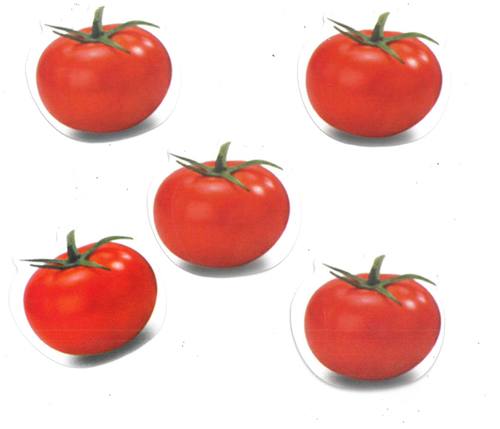חיתוך מיני עגבניה