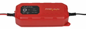 LEM1224250 - מטען מצברים 12/24V 25A/hr אוטומטי 1075279