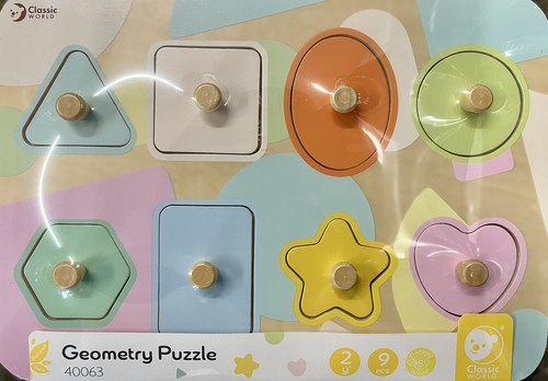 Wooden Geometry Puzzle 8 shapes