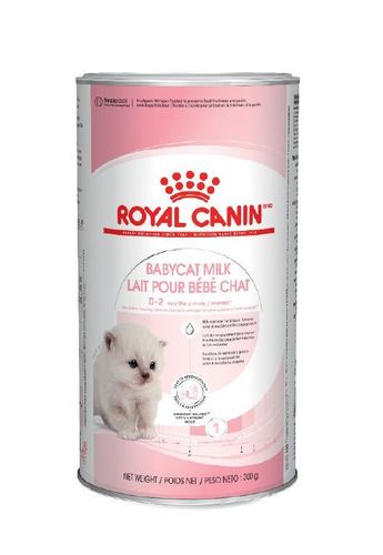 רויאל קנין אבקת תחליף חלב לגורי חתולים 300 גרם ROYAL CANIN