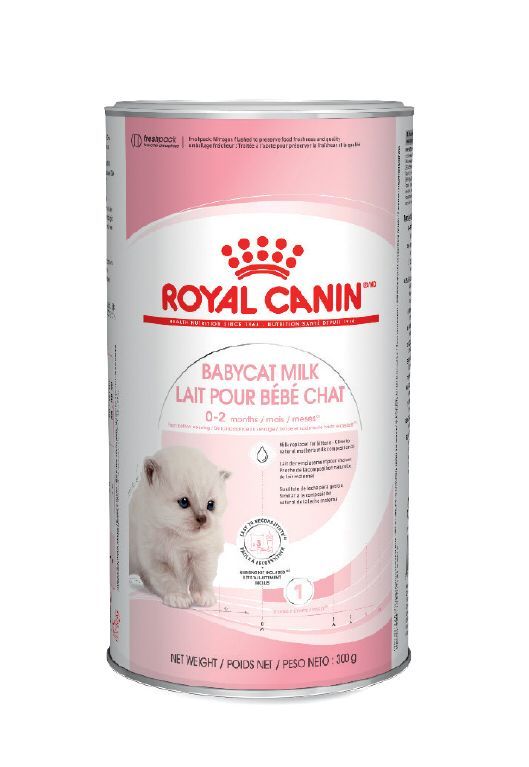 רויאל קנין אבקת תחליף חלב לגורי חתולים 300 גרם ROYAL CANIN