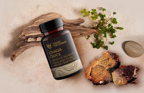 פטריית צ'אגה 60 כמוסות Trust The Fungi Chaga Inonotus Obliquus Fungi Body Extract 