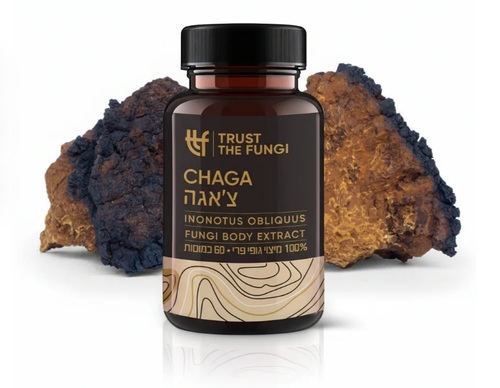 פטריית צ'אגה 60 כמוסות Trust The Fungi Chaga Inonotus Obliquus Fungi Body Extract 