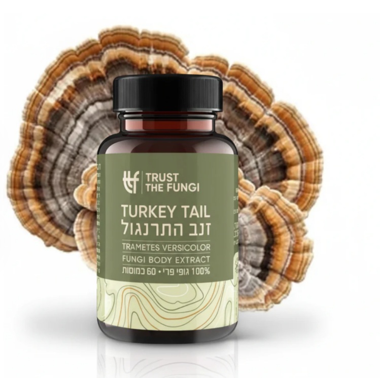 פטריית זנב התרנגול 60 כמוסות Trust The Fungi Turkey Tail Fungi Body Extract