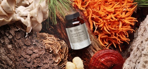 פטריית רעמת האריה 60 כמוסות Trust The Fungi Lion's Mane Fungi Body Extract