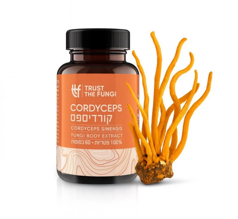 פטריית קורדיספס 60 כמוסות Trust The Fungi Cordyceps Fungi Body Extract