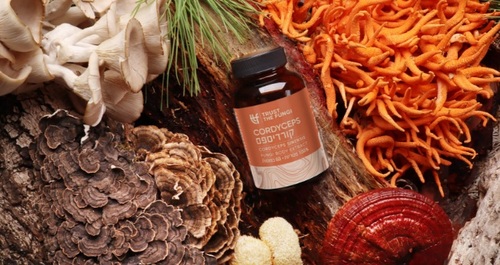 פטריית קורדיספס 60 כמוסות Trust The Fungi Cordyceps Fungi Body Extract
