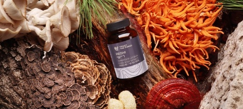 פטריית ריישי 60 כמוסות Trust The Fungi Ganoderma Lucidum Fungi Body Extract
