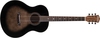 גיטרה אקוסטית Washburn BT Novo S9