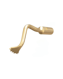 block bone/ridge expension (Right)