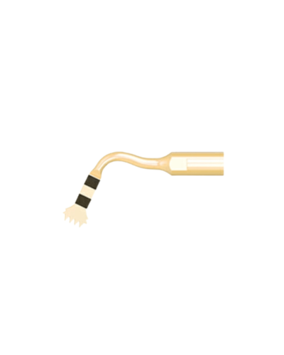 block bone/ridge expension