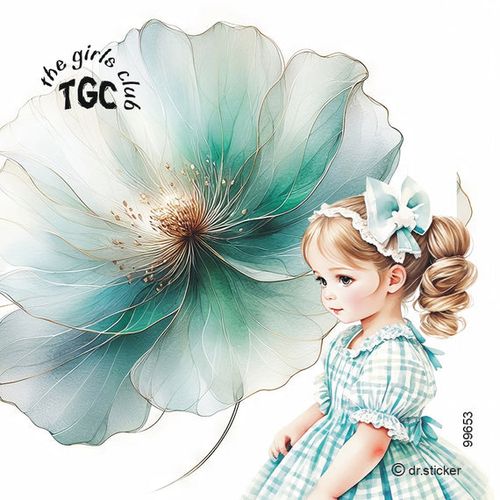 גליל מדבקות שקופות ד