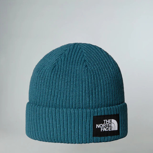 כובע גרב SALTY LINED BEANIE מבית The North Face
