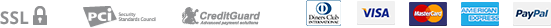 payment_icon