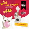 מתקן גירוד מערה עם קקטוס טריקסי במבצע מטורף!