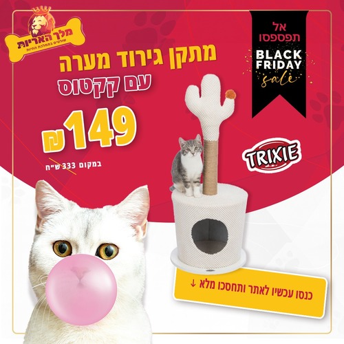 מתקן גירוד מערה עם קקטוס טריקסי במבצע מטורף!