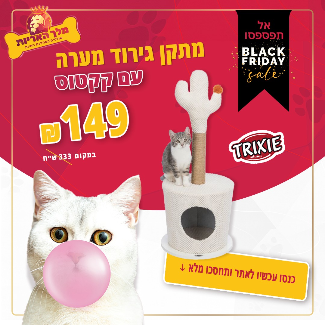 מתקן גירוד מערה עם קקטוס טריקסי במבצע מטורף!