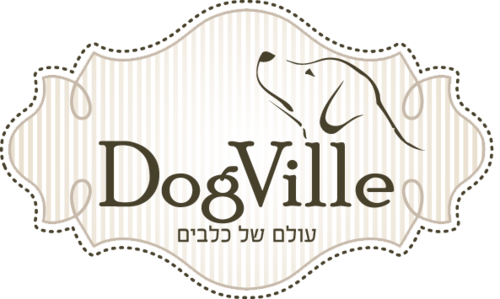 לילה פנסיון