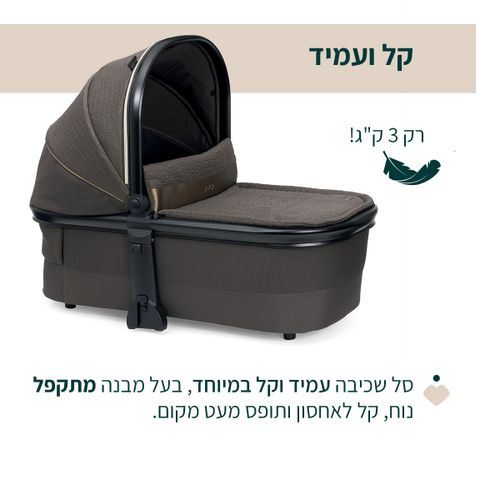 מהדורה מיוחדת: מיסה MYSA עגלת תינוק פרימיום דו-כיוונית - ברונזה ליזארד