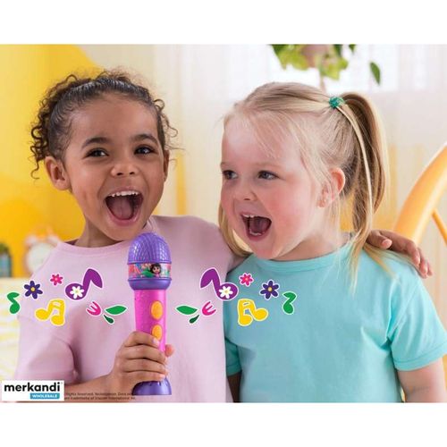 דורה – המיקרופון של דורה -DORA
