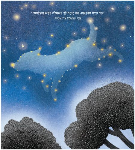 סיפור על נדיבות, רגישות וכוחן של משאלות - משאלה ממש מושלמת / ליזה מנטצ׳ב