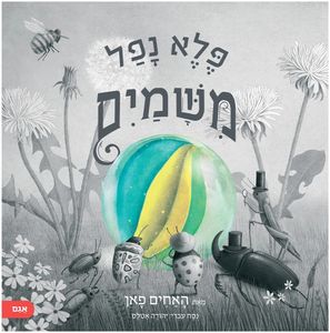 סיפור מלא הומור וחוכמה - פלא נפל משמיים / האחים פאן