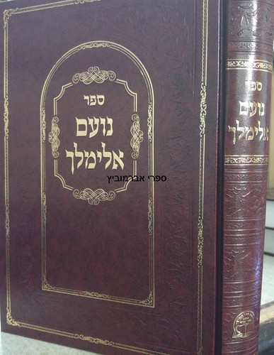 נועם אלימלך 