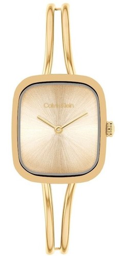 Calvin Klein 25100132 סדרה חדשה לנשים