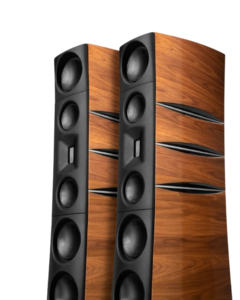 זוג רמקולים רצפתיים Borresen T5 Cryo  