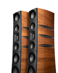 זוג רמקולים רצפתיים Borresen T5 Silver Supreme Edition  