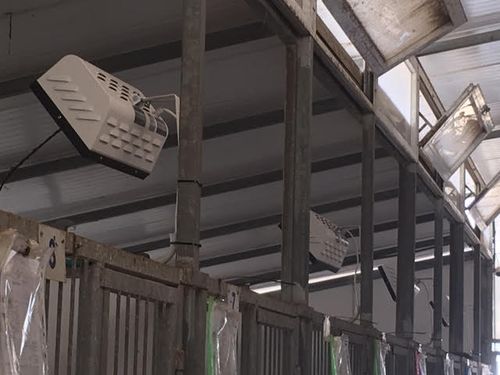 תנור חימום אינפרא אדום WR2000 דור 2
