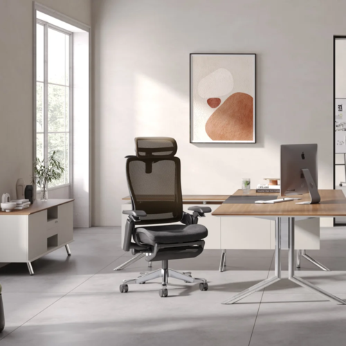 כסא משרדי ארגונומי ManagerErPro מבית MIRACASE