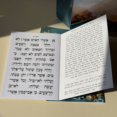 תהילים מחולק דגם נבל  - ענק