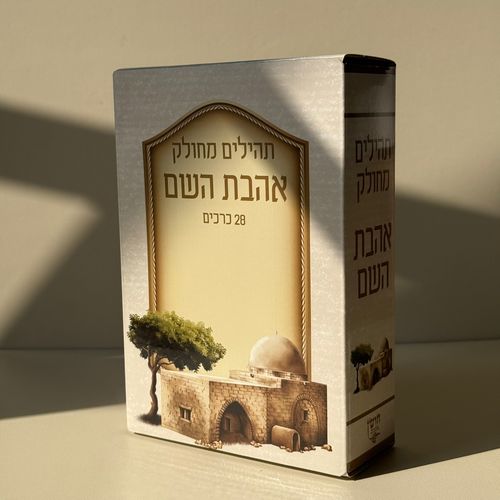 תהילים מחולק דגם קבר רחל