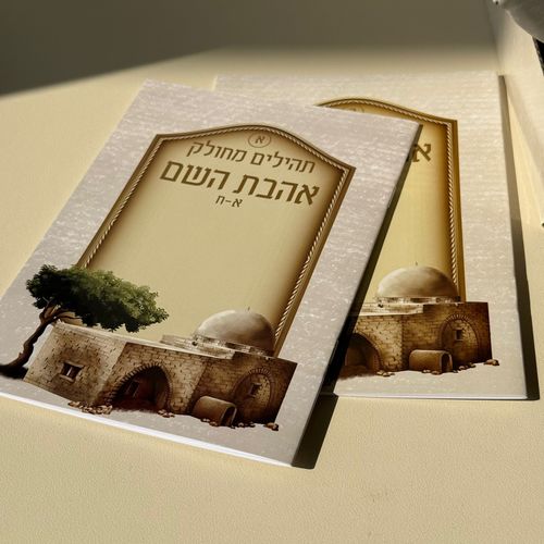 תהילים מחולק דגם קבר רחל
