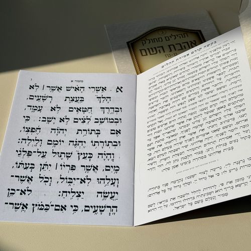 תהילים מחולק דגם קבר רחל