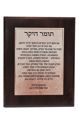 מגן הוקרה N7