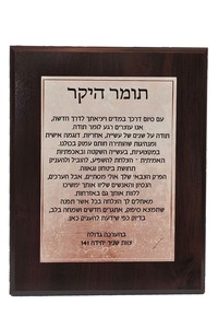 מגן הוקרה N7