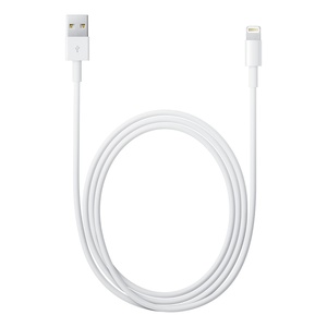 כבל הטענה apple