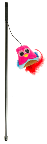 חכה ציפור עם נוצות