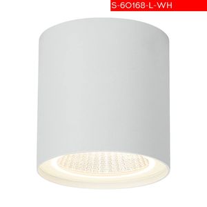 IP65 12W צילינדר ג