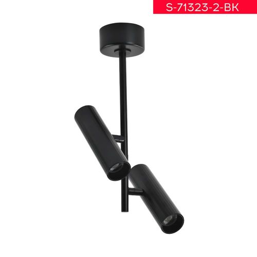 S 71323 2 BK