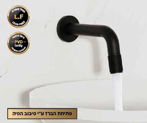 ברז מים קרים מהקיר מעוצב 1334GR אפור גרפיט מט SIVANOFIR