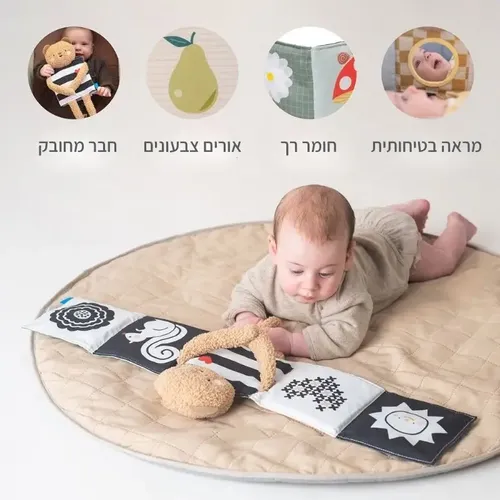 ספר דובי